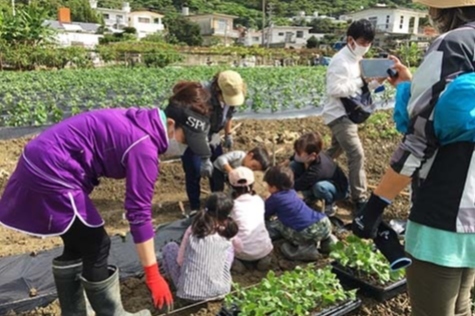 写真：まっくーるーファーム1