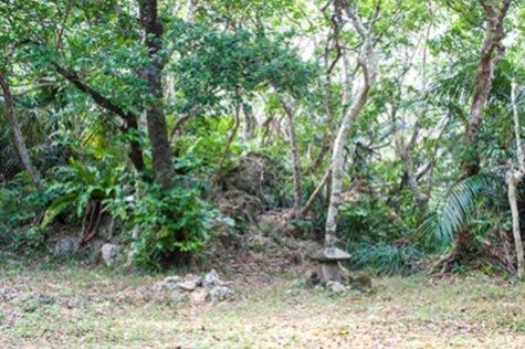 写真：垣花城跡1