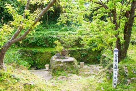 写真：下茂の井1