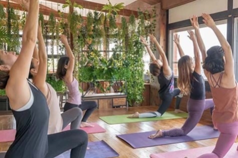 写真：ヨガ風景