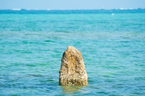 写真：ヤハラヅカサ1