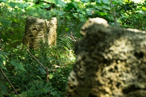 写真：神山の殿1