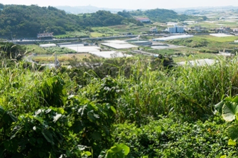 写真：糸数樋川1