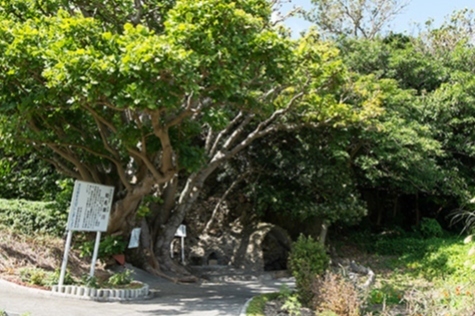 写真：知名御川1