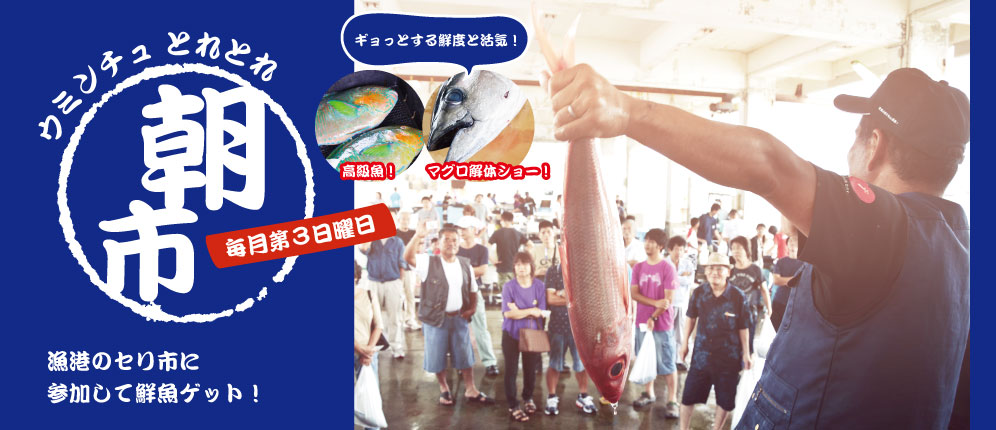 一般参加OK!知念漁業組合の競り市
