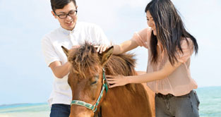 うみかぜホースファーム