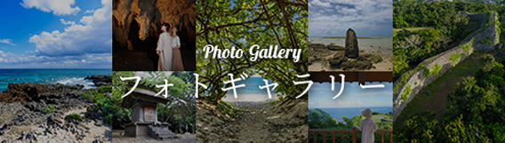 フォトギャラリー