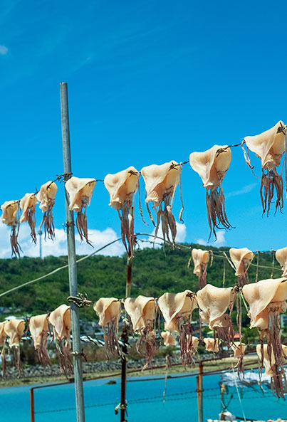 写真：トビイカの天日干し
