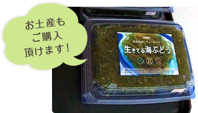 お土産もご購入いただけます！