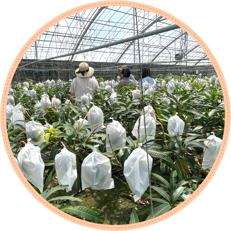 のはらファーム