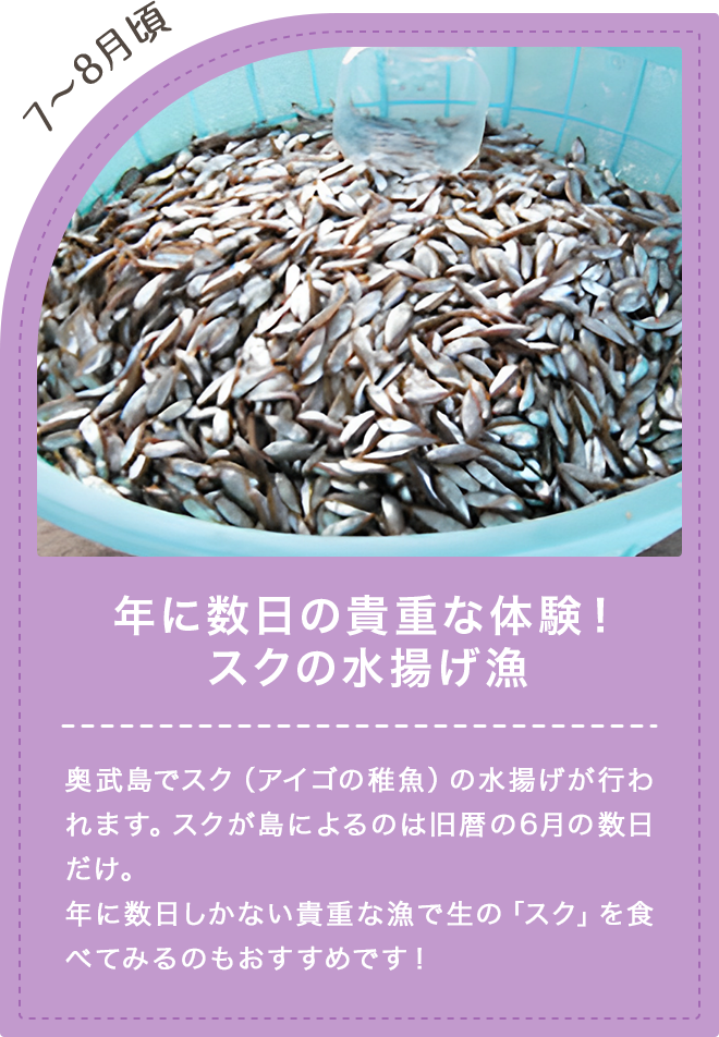 年に一度の貴重な体験！すくの水揚げ漁