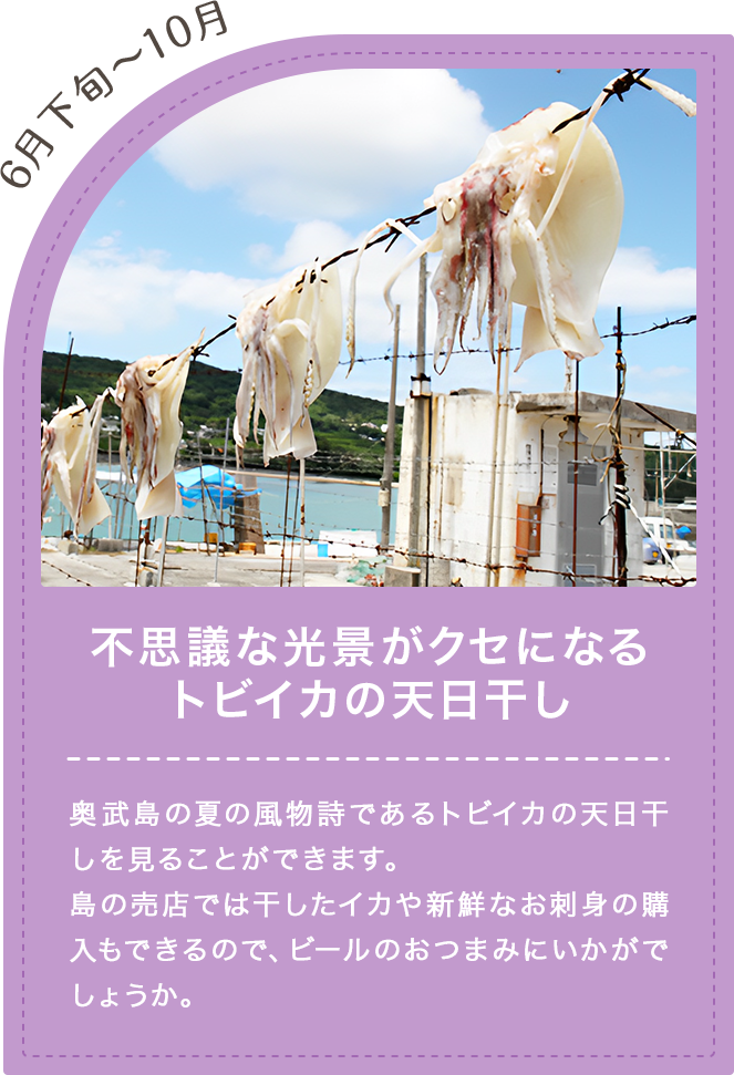 不思議な光景がクセになるトビイカの天日干し