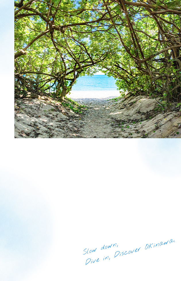 slow down, Dive in, Discover Okinawa