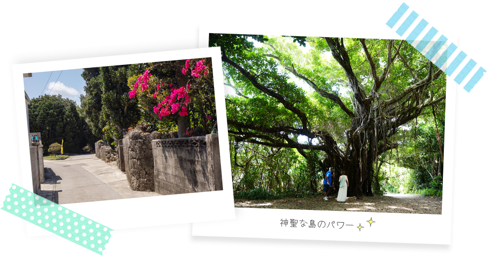 神聖な島のパワー