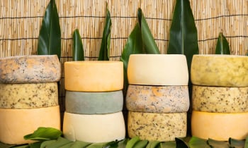 実はチーズ作りに最適な環境の沖縄。